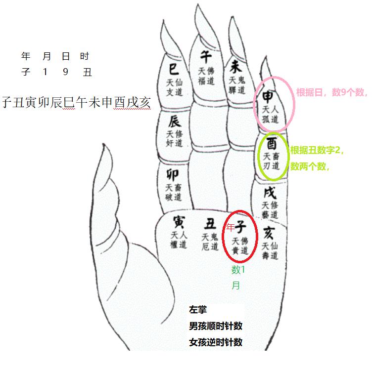 达摩一掌经怎么看前世和来世达摩一掌经算命的详细方法来了